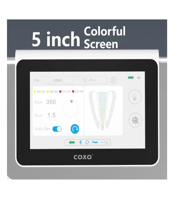 Dental C Master Coxos Dental Electric Motor con Endomotor Tutto in uno Brushless Electric Led Micromotor Endodontics