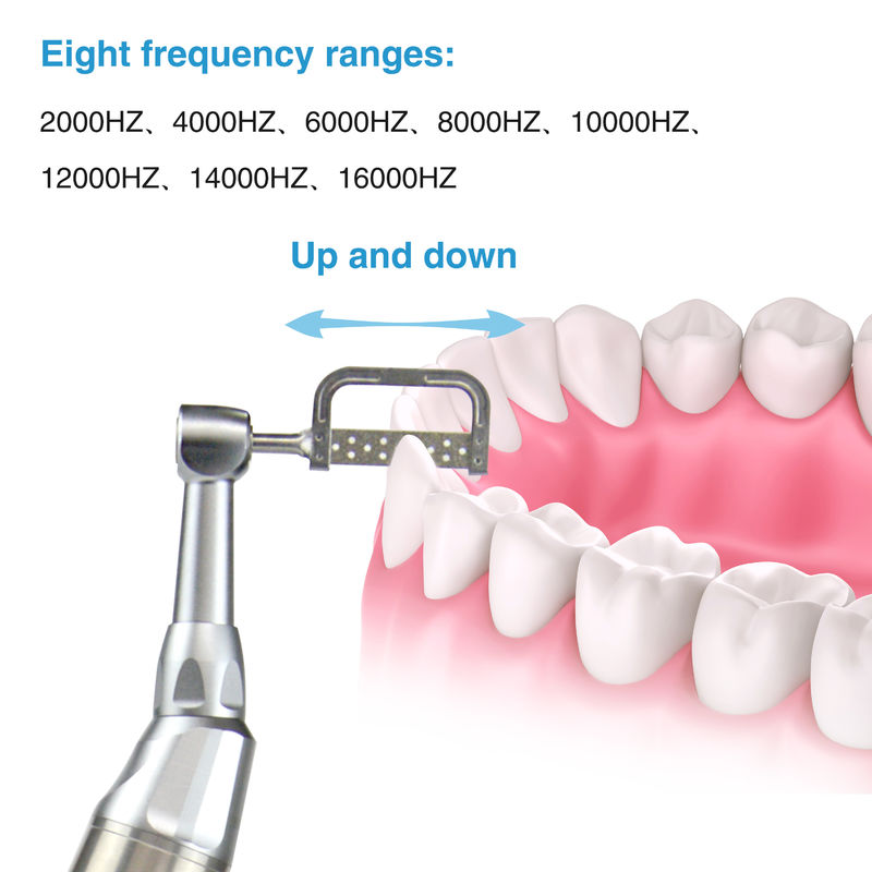 Dental Electric Wireless lPRS system Motore ortodontico Dental Electric Wireless IPR System Ortodontica e lucidatura 2 in 1 Motore Port di ricarica tipo C